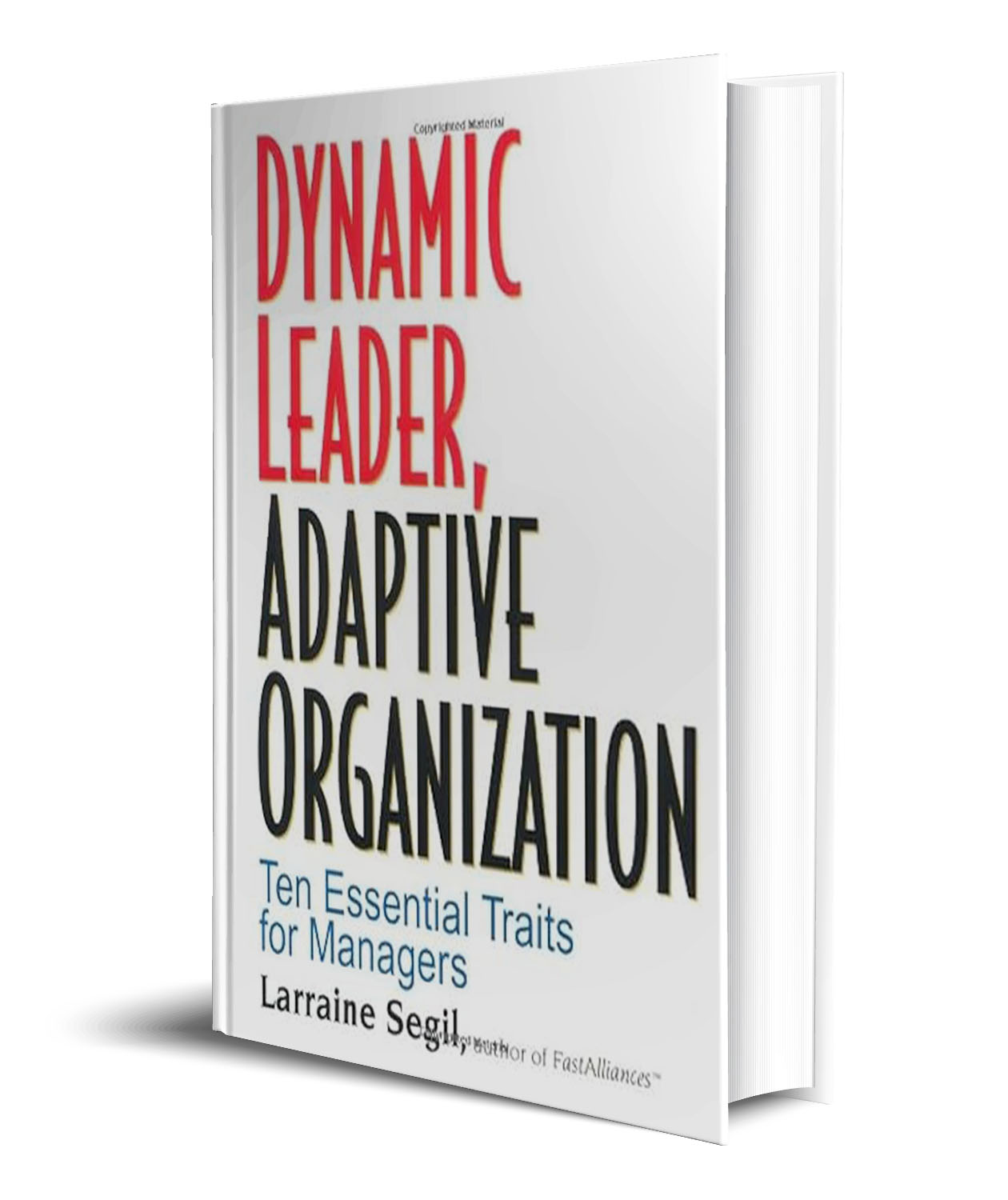 Dynamic Leader Adaptive Organization: Ten Essential Traits for Managers