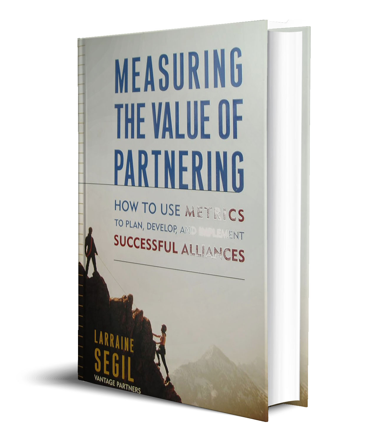 Measuring the Value of Partnering: How to Use Metrics to Plan, Develop, and Implement Successful Alliances