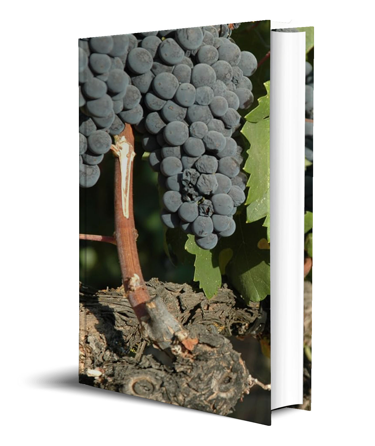 Wilderotter Wineries Cookbook